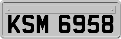 KSM6958