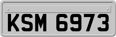 KSM6973