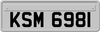 KSM6981