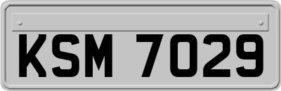 KSM7029