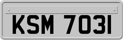 KSM7031