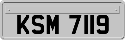 KSM7119