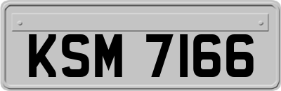 KSM7166