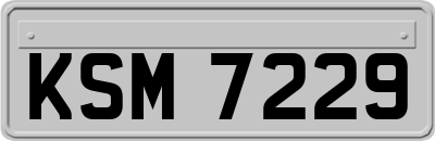 KSM7229