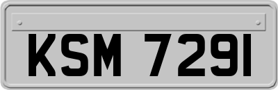 KSM7291