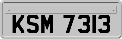 KSM7313