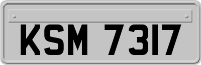 KSM7317