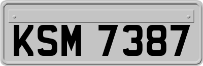 KSM7387