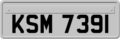 KSM7391