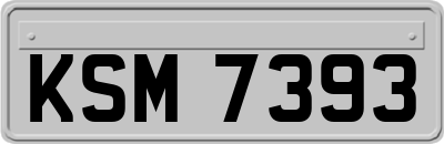 KSM7393