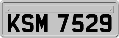 KSM7529