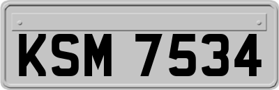 KSM7534