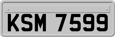 KSM7599