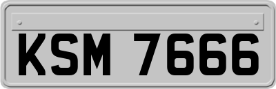 KSM7666