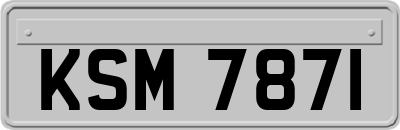 KSM7871