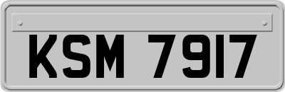 KSM7917