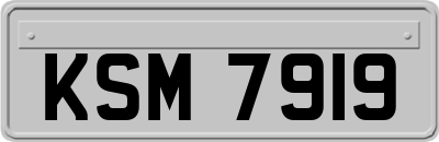 KSM7919