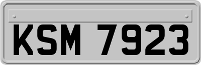 KSM7923
