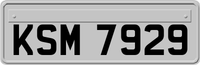 KSM7929