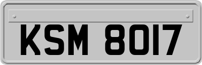 KSM8017