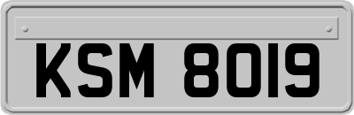 KSM8019