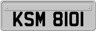 KSM8101
