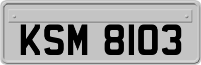 KSM8103
