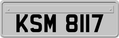 KSM8117