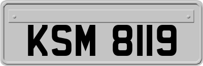 KSM8119
