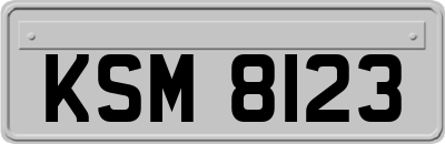 KSM8123