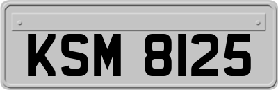 KSM8125