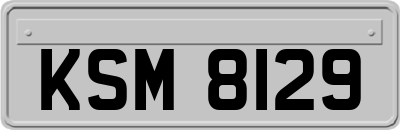 KSM8129