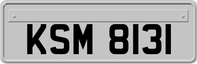 KSM8131