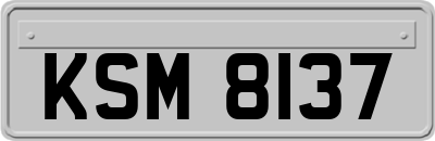 KSM8137