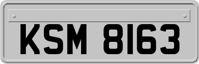KSM8163