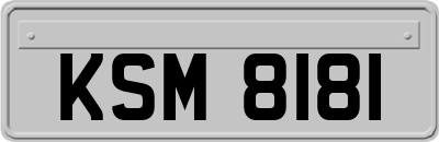 KSM8181