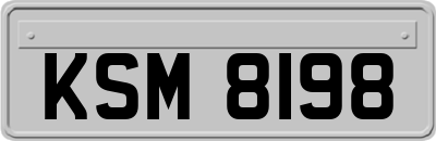 KSM8198