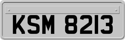 KSM8213