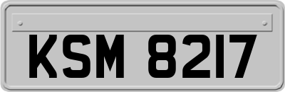 KSM8217