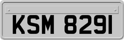 KSM8291