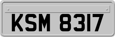 KSM8317