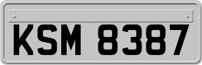 KSM8387