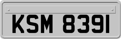KSM8391