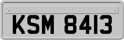 KSM8413