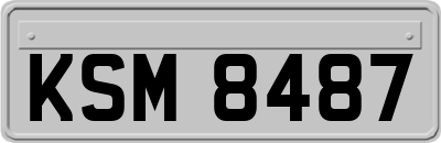 KSM8487