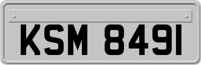 KSM8491
