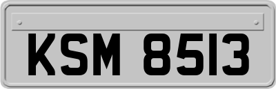 KSM8513