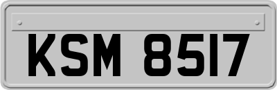 KSM8517