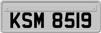 KSM8519