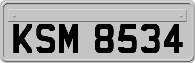 KSM8534